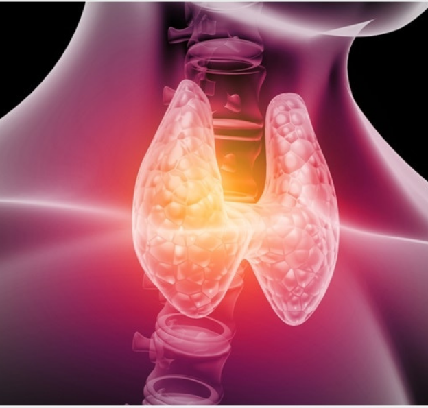 Endocrinologie